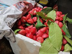 -老炳·七丛松甘草水果