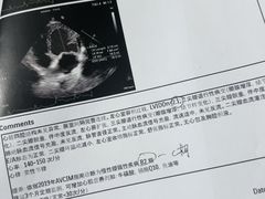 -美联众合动物医院·24h转诊中心