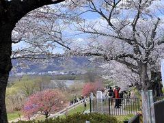 -醍醐寺