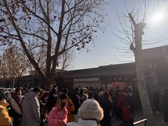 -东方巨龟苑景区