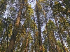-同里国家湿地公园