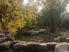 -莲花池公园