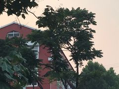 -青岛大学路小学