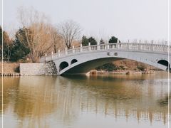 -塘沽森林公园