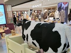 -红星前进面包牛奶公司(君太店)