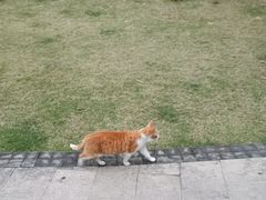 -晓港公园