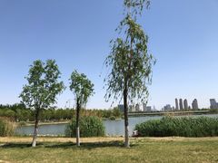 -水西公园