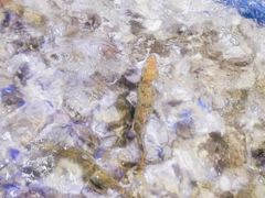 -青蓬蒸汽海鲜·深圳老字号·团建聚会(壹方城店)