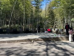 -午潮山国家森林公园