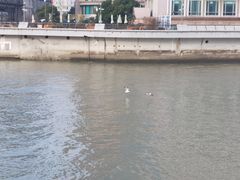 -上海市外滩历史纪念馆