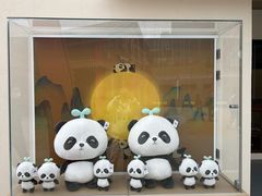 -成都大熊猫繁育研究基地