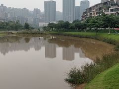 -沐仙湖湿地公园