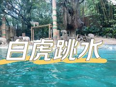 -广州长隆野生动物世界