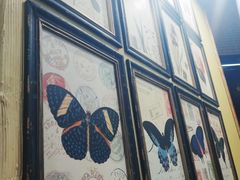 -多克多蒸气茶DOKDO(鼓楼绿地店)