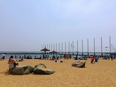 -碧海金沙