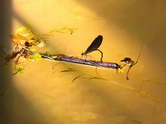 -北仑森林植物园