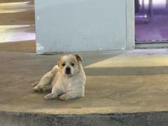 -STELLAR NIGHT CLUB星际酒吧(明发商业广场店)