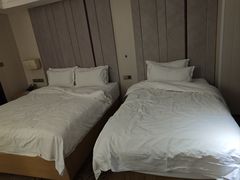 -麗枫酒店(九江浔阳路步行街店)