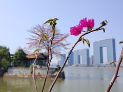 -喜洲吧·江畔老船厂·庭院餐厅(喜临院店)