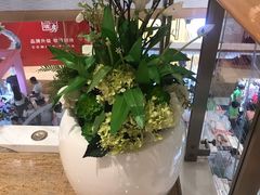-gaga(深圳南山益田假日广场店)