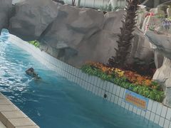 -天山海世界·米立方