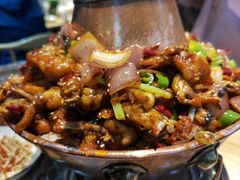 -蛙麻蛙辣炭火蛙锅(南环大街店)