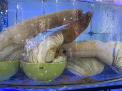 -日照大牌檔•小船海鲜(万平口店)