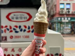 -富豪雪糕车流动点(尖沙咀)