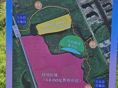 -九科绿洲