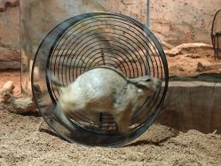 -Zoolung Zoolung动物主题公园(海信广场店)