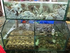 -四海鲜渔家菜(黄金海岸店)