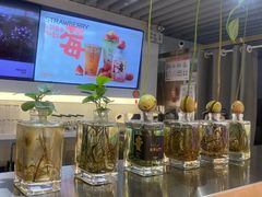 -Mr.Fruits水果先生(蓝色港湾店)