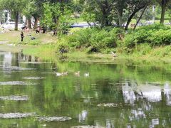 -两河城市森林公园