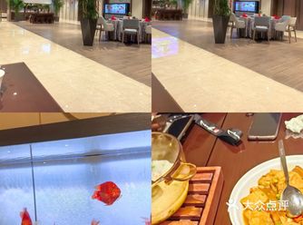 #中餐厅️这家餐厅的环境真的超赞，绿植和装饰都很有品