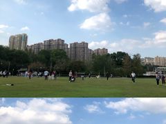 -青枫公园