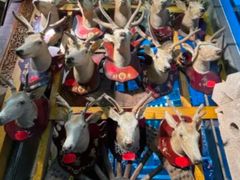 -乔家满族八大碗(流水沟店)