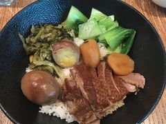 -MR鹅外