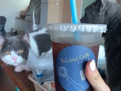 -Be Lived Cafe比例咖啡(摩天轮店)
