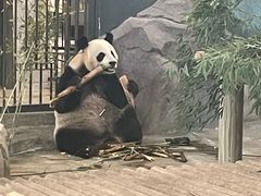 -苏州太湖国家湿地公园