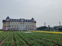 -百万葵园