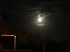 -东海森林温泉度假酒店