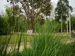 -白鹭湾湿地公园