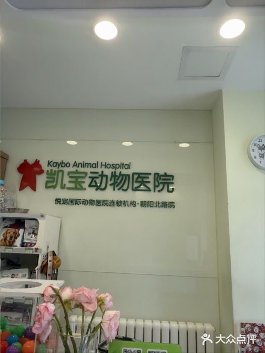 悦宠凯宝动物医院·牙科·皮肤科(朝阳北路店)图片