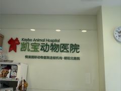 -悦宠凯宝动物医院·牙科·皮肤科(朝阳北路店)