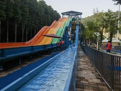 -重庆海昌加勒比海水世界