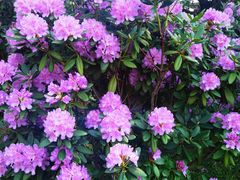 -名花谷生态庄园