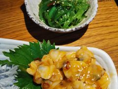 海草-酒井酱子·深夜食堂(东城汇店)