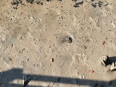 -北海金海湾红树林生态旅游区