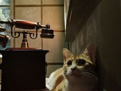 -逃脱反斗城沉浸剧情密室(北京路店)