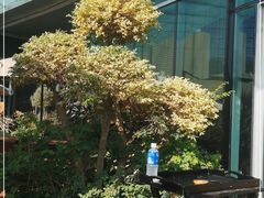 -La Terre乐田(万象城店)